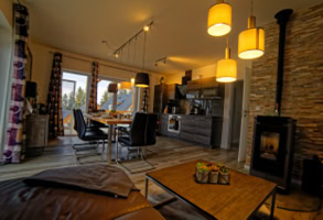 Living room with kitchen