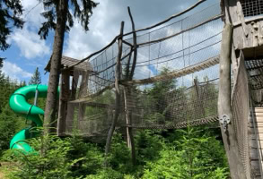 Kindom of the forest at Lipno